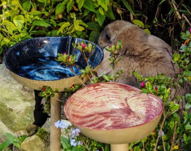 Baignoires à oiseaux
